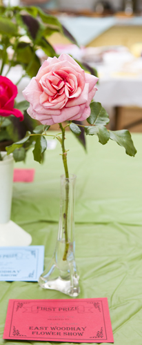 180818-flower-produce-show_0053
