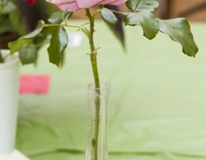 180818-flower-produce-show_0053