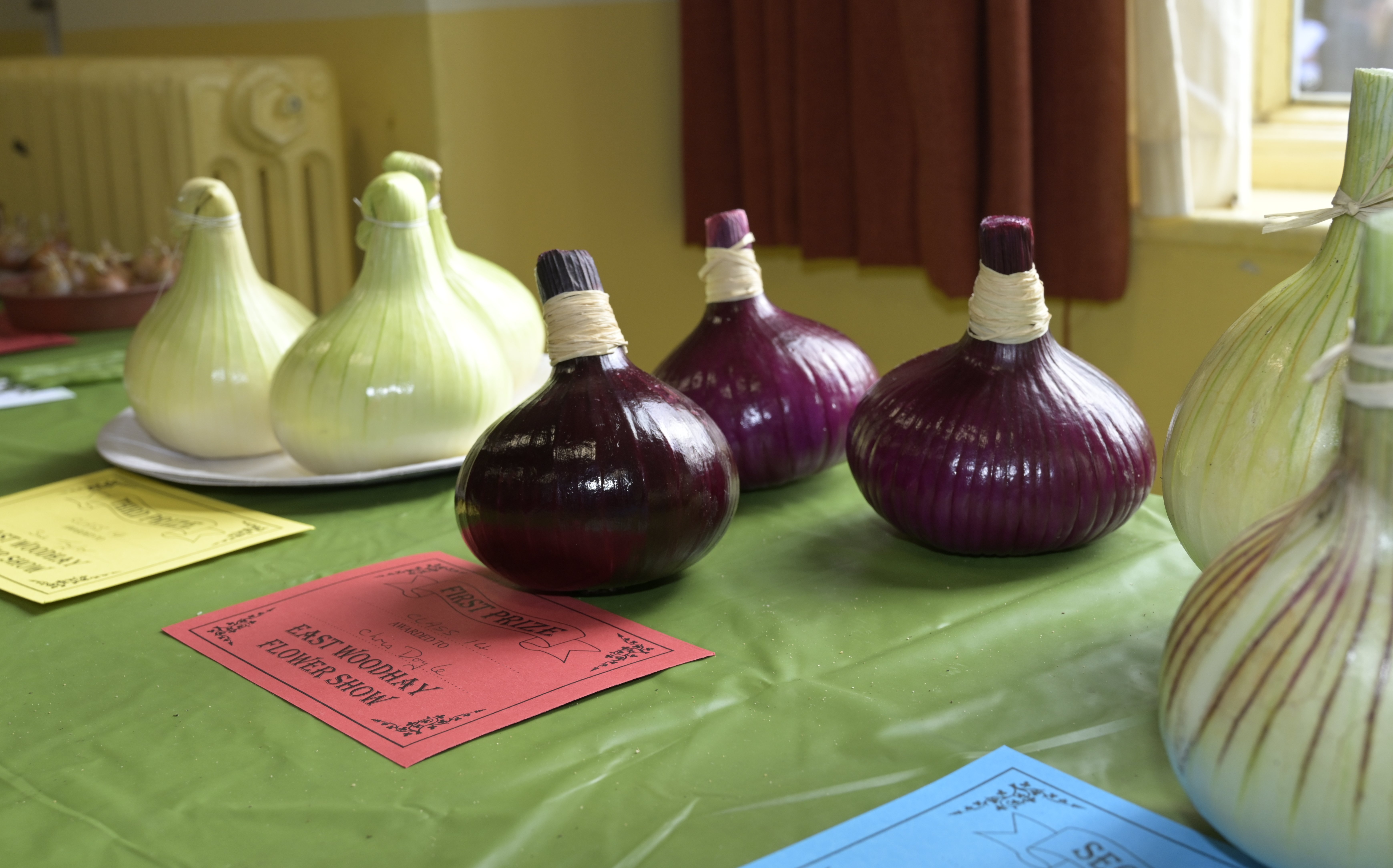 1-_DSC0565