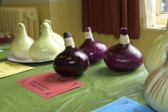 1-_DSC0565