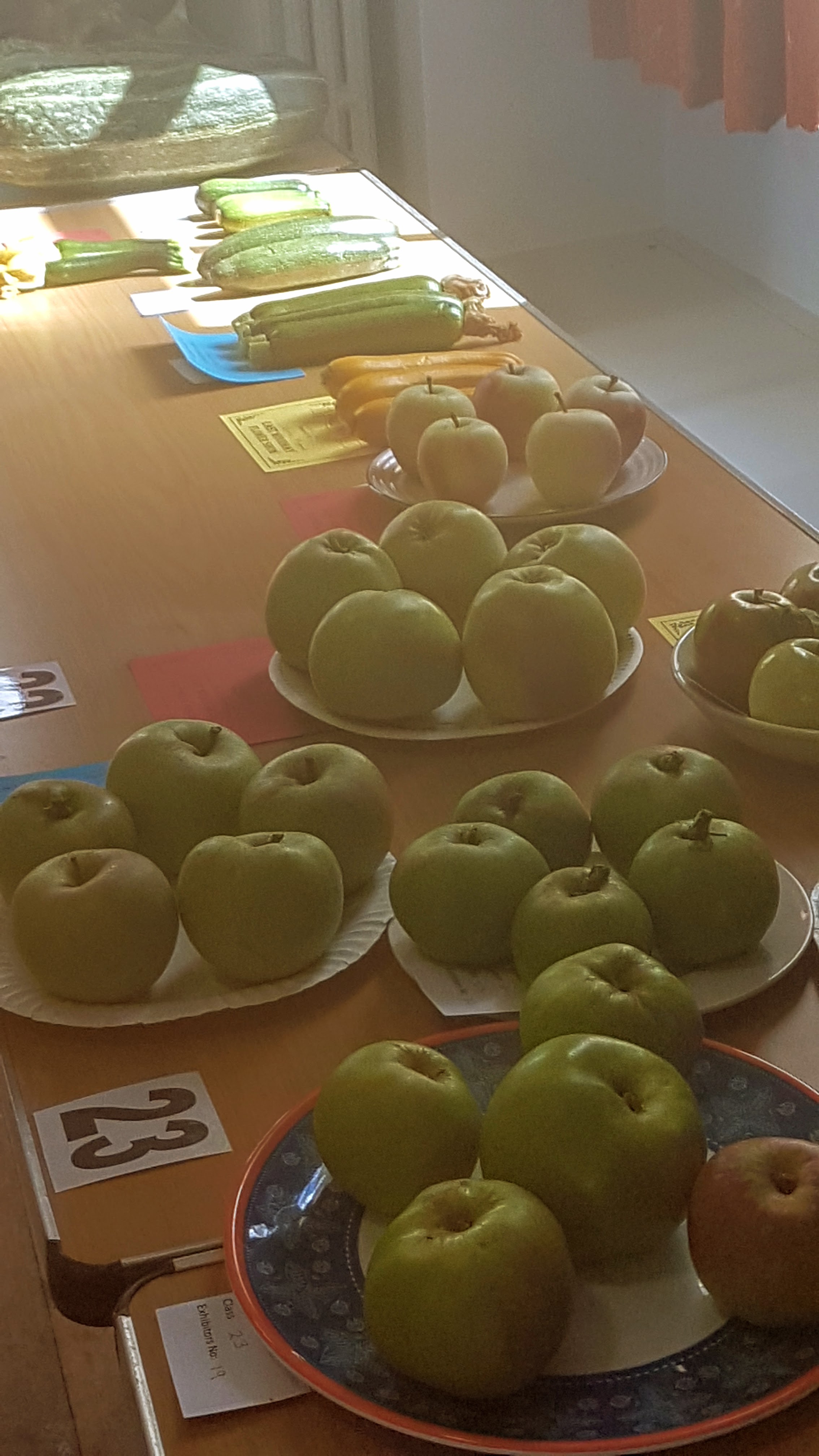 EWFS-photo-apples