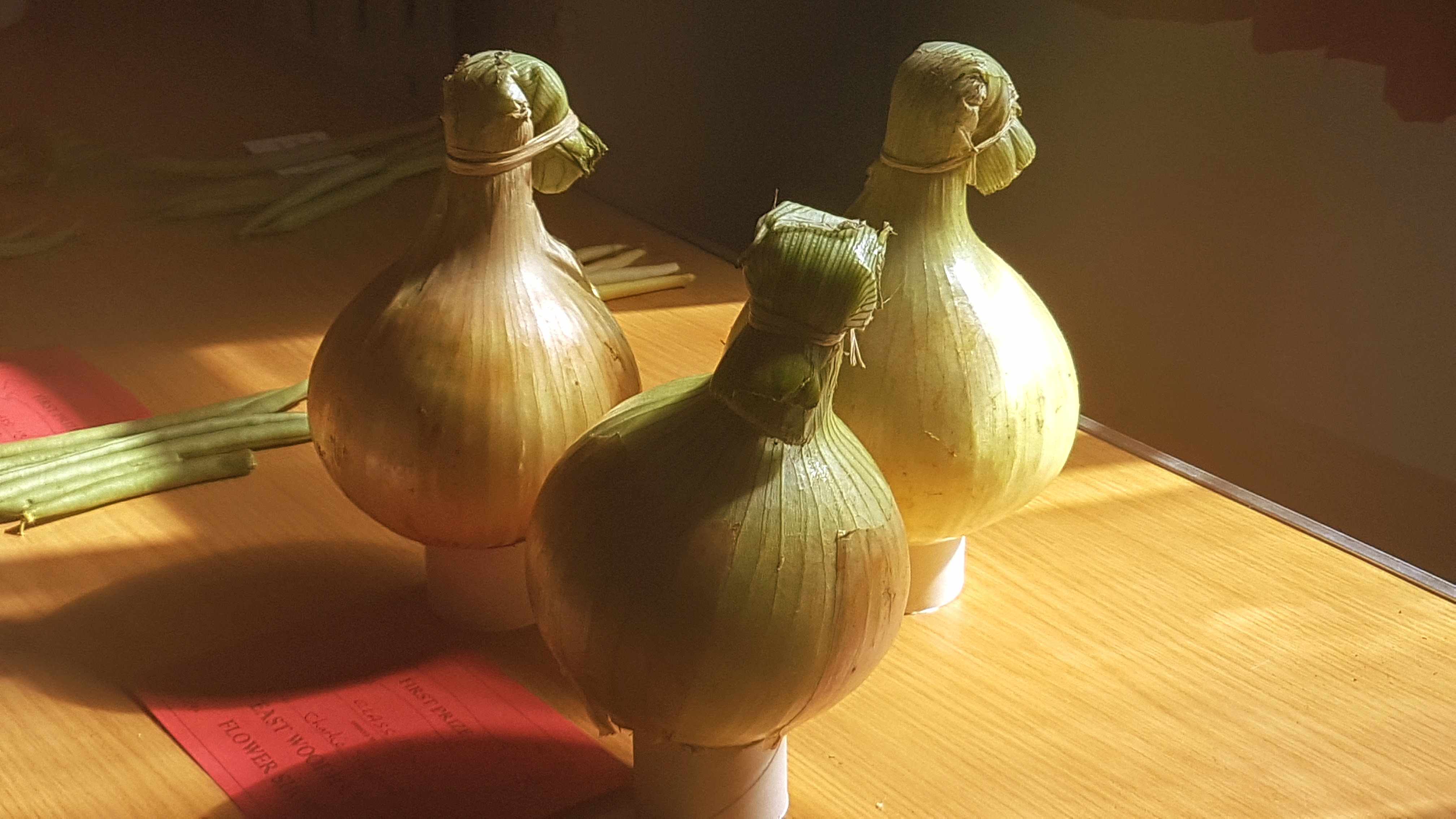 EWFS-photo-onions