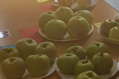 EWFS-photo-apples