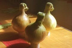 EWFS-photo-onions