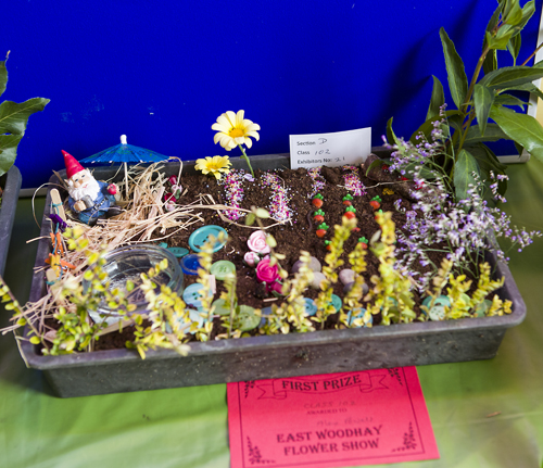 Miniature Garden